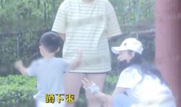 圆圆子最新爆料,揭秘娱乐圈不为人知的秘密