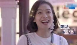 宋茜爆料谢庭锋视频播放,宋茜揭露谢庭锋视频播放背后的真相