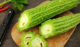 免费吃全网瓜