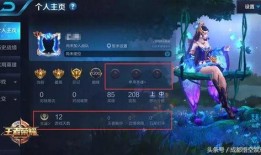 王者西风爆料最新消息是什么,神秘新英雄即将登场！