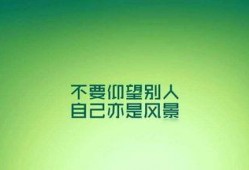 励志的新闻爆料文案,励志故事照亮前行之路