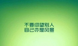 励志的新闻爆料文案,励志故事照亮前行之路
