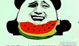 吃瓜群众怎么免费获得,吃瓜群众如何轻松免费获取资讯大餐