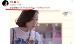 宋茜爆料谢庭锋视频播放,宋茜揭露谢庭锋视频播放背后的真相